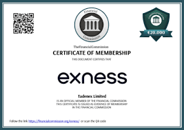 Discover the Future of Online Trading With Exness